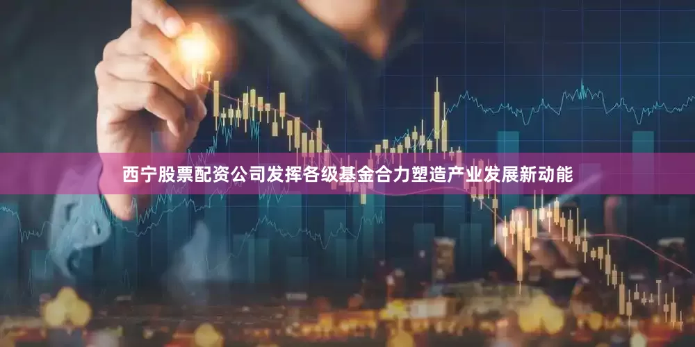 西宁股票配资公司发挥各级基金合力塑造产业发展新动能