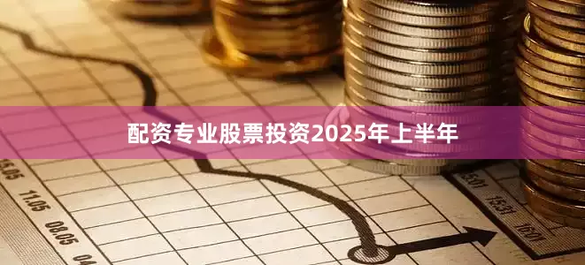 配资专业股票投资 2025年上半年