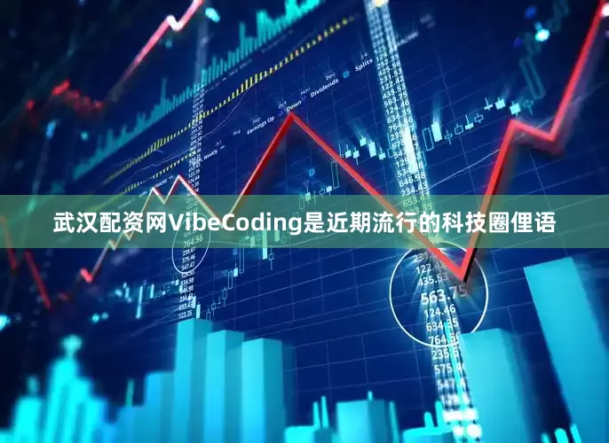武汉配资网VibeCoding是近期流行的科技圈俚语