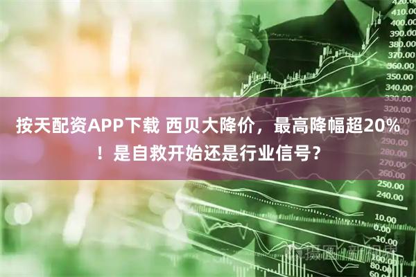 按天配资APP下载 西贝大降价，最高降幅超20%！是自救开始还是行业信号？
