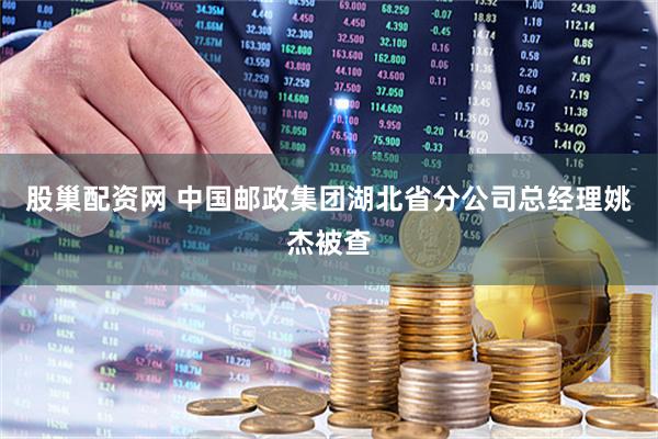股巢配资网 中国邮政集团湖北省分公司总经理姚杰被查